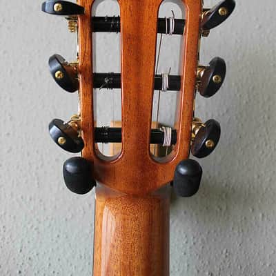 Brand New Cordoba C12 Nylon String Spruce Top Classical Guitar image 8