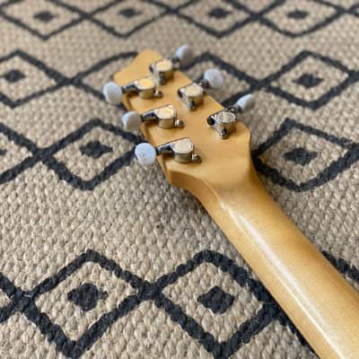Godin Radiator Cool Sound image 4