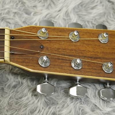 Vintage Tokai '80s made Japan made Acoustic Guitar Cat's Eyes CE-300 Made in Japan image 4