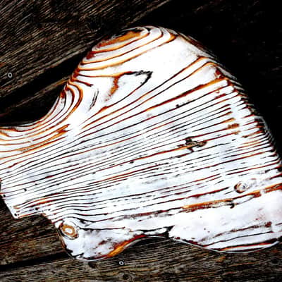 Jazzmaster body, "barnmaster" image 9