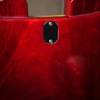 Paul Reed Smith - Pre Factory Carlos Santana Custom Doubleneck / Built by Paul Reed Smith image 17