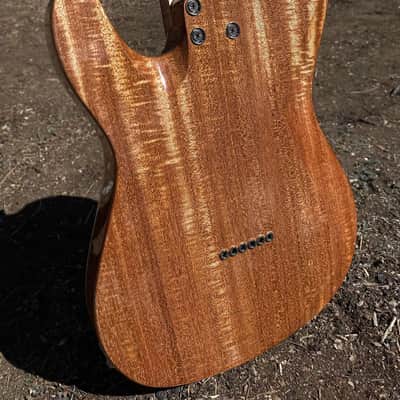 Rebirth Guitar Co. Telluride 2023 - Gloss image 10