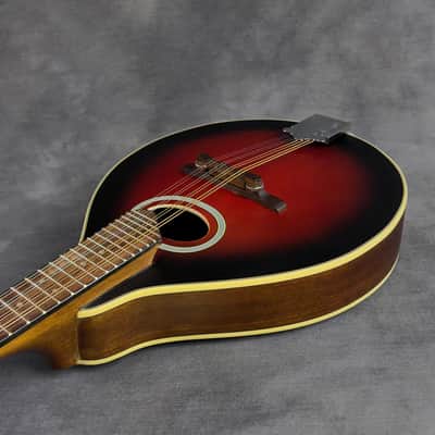 J. Reynolds JRMAN20 A-Style Mandolin image 25
