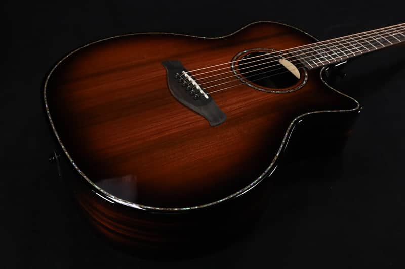 Taylor Builder's Edition 914ce LTD Macassar 039 image 1