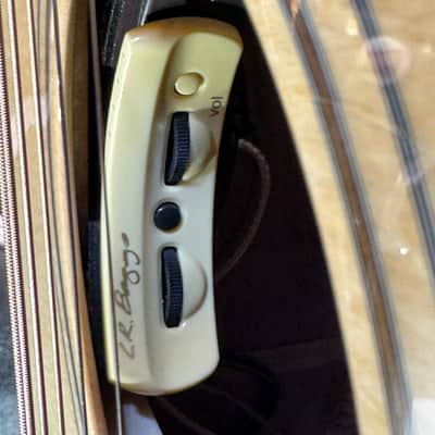 Furch GREEN Gc SX a BACKSTAGE LIMITED PURPLE HEART Lr Baggs Athem image 16