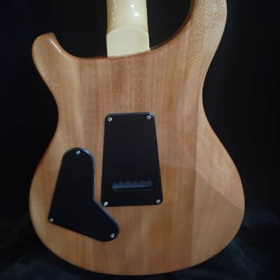PRS SE Custom 24 - Faded Blue image 5