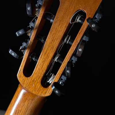 Kenny Hill 7 String Classical Cutaway Crossover Seven String image 11