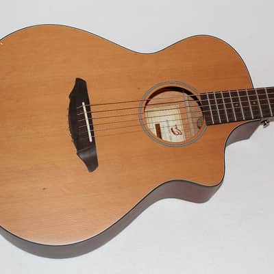 Breedlove Passport C250/CMe Acoustic-Electric Guitar image 2