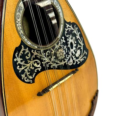 G. Kasermann High-End Curved Ribs Concert Mandolin (L’estudiantina) 1920s image 5