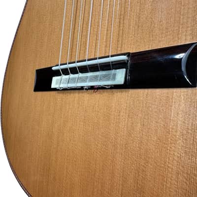 Manuel Adalid Homenaje - Cedar Double top/Solid Ziricoté back/sides - Handmade in Spain - 2025 image 18