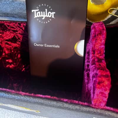 Taylor 224ce UA DLX LTD 2022 image 16