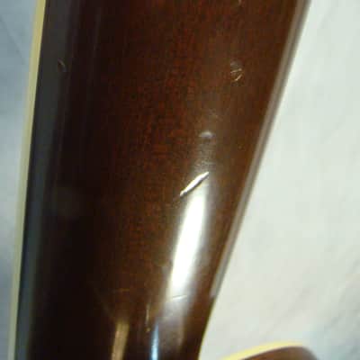 1983 Martin 150th Anniversary 00 Custom Nylon image 6