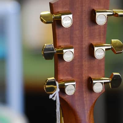 Taylor DN4 Left Handed 2009 Natural image 14