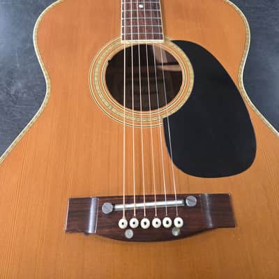 Vintage 70's Orpheum 359-F Acoustic Guitar With Case image 6