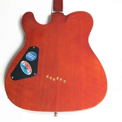 Schecter PT Custom image 24