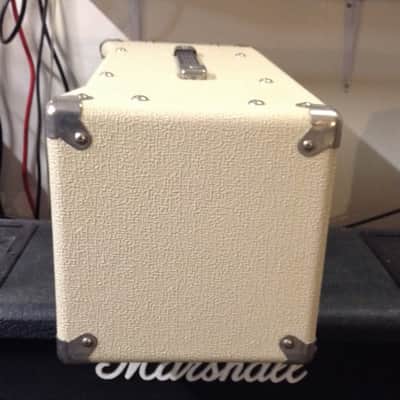 Vintage Rivera Rake Reverb Head image 5