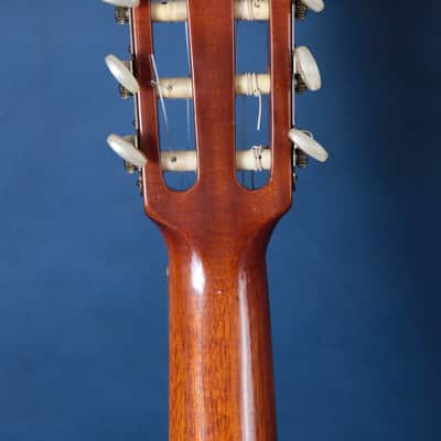 Giannini Craviola AWKNS6 / Nylon String and Bossa Ready! image 7