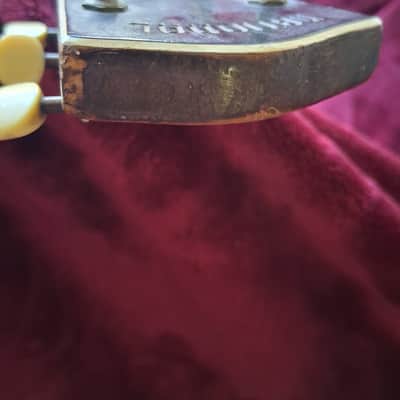 National Triolian 1930's - Steel body with Mahogany finish image 9