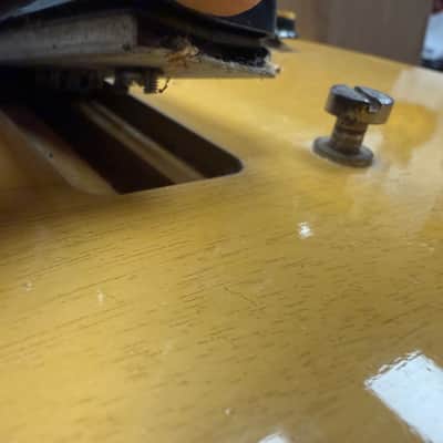 Gibson Les Paul Special 1957 - TV Yellow - OHSC image 13