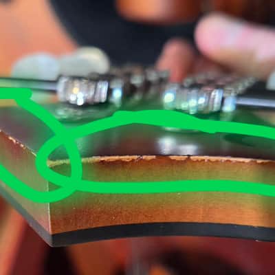 Weber Earth to Sound F Style Special Mandolin image 16
