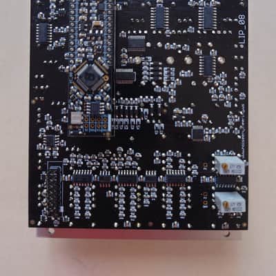 Noise Engineering Loquelic Iteritas Percido 2018 - Present - Silver image 2