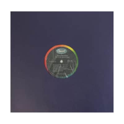 (25) 12" Blue Paper Plastic Record Heavyweight Polylined Inner Sleeves 12IABL image 7