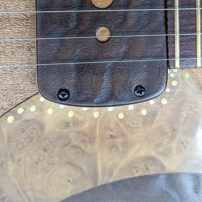 Ray Vincent Shell back guitar 2023 - Shellac and oil image 10