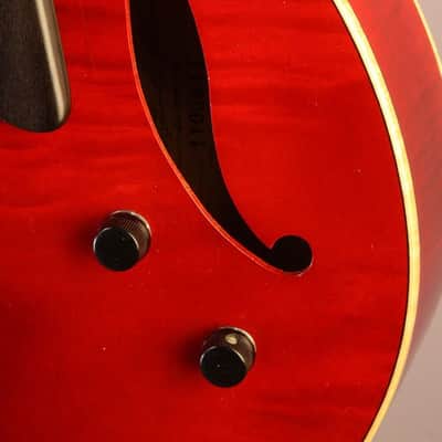 2016 Holst 16” Hollow body archtop jazz guitar with Dimarzio Humbucker image 11
