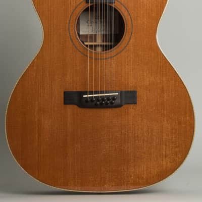 Circle Strings  A-1 10 String Acoustic Flat Top Guitar (2018), ser. #119, original molded white plastic hard shell case. image 3