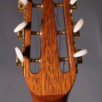 Mauro Freschi -Selmer/Maccaferri Gypsy Jazz Guitar image 10
