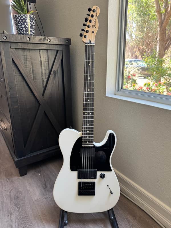 Fender Jim Root Artist Series Signature Telecaster 2008 - Present - Flat White w/ Evertune Upgrade