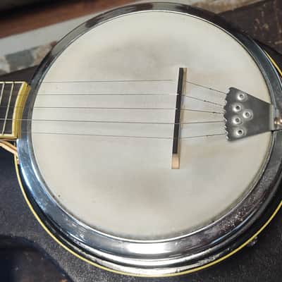 2006 Walker Mini Banjo w/ Custom Case image 1