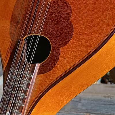 Vintage Czechoslovakia Cremona Luby mandolin 1960s image 14