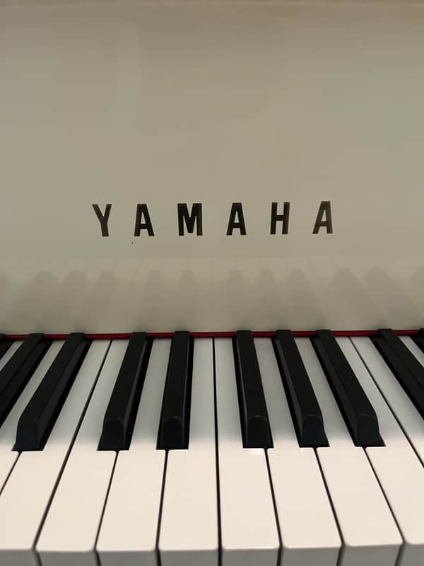 Yamaha G1 1978 - Polished white image 1