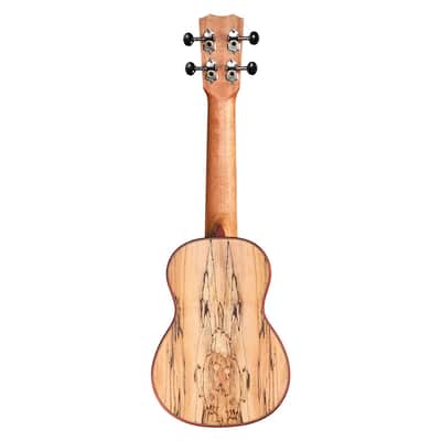 Cordoba 24S Spruce Soprano Ukulele w/ Spalted Maple Back image 8