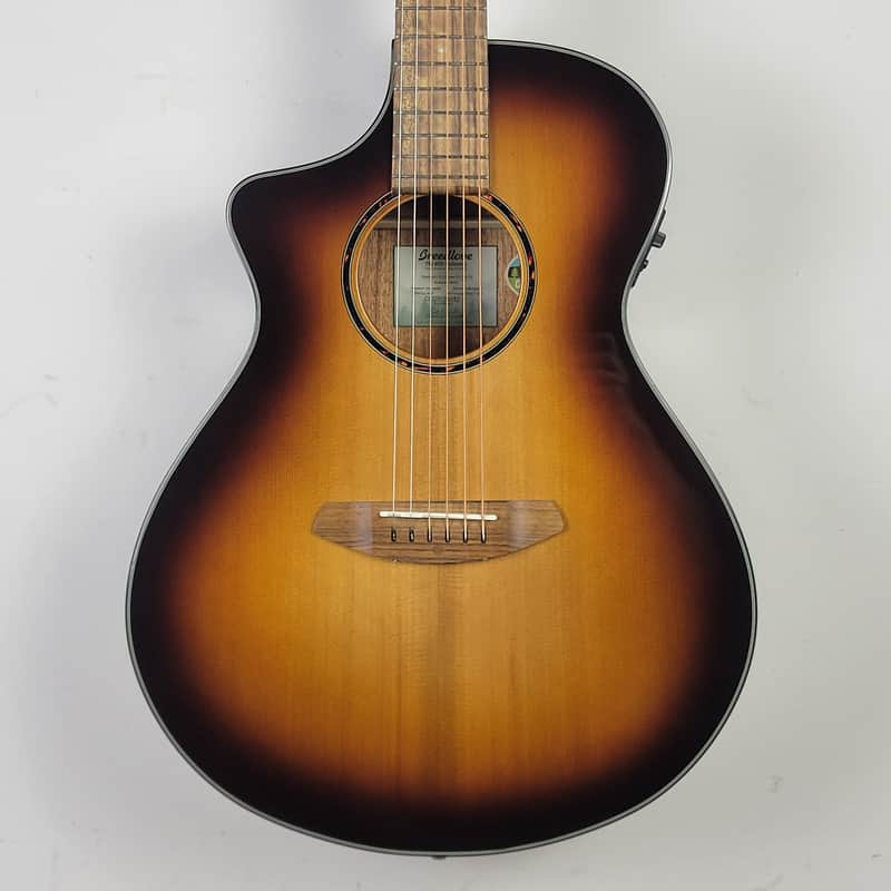 Breedlove Discovery Concert
