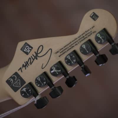 Charvel Satchel Signature Pro-Mod DK22 HH FR M - Satin White Bengal image 13