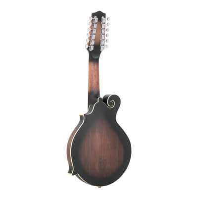 GOLD TONE F-6 Gitarren-Mandoline image 2