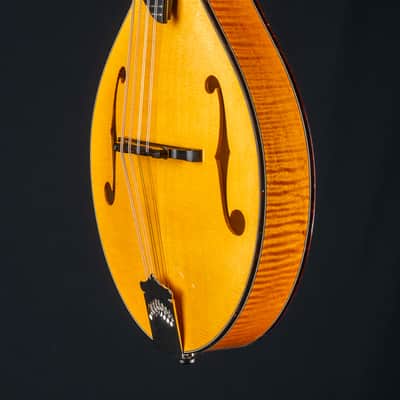 Collings MT2 Honey Amber Adirondack Spruce and Flamed Maple Mandolin NEW image 12