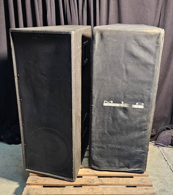 Peavey DTH 4215 Minimum-Profile Loudspeaker - Black | Reverb