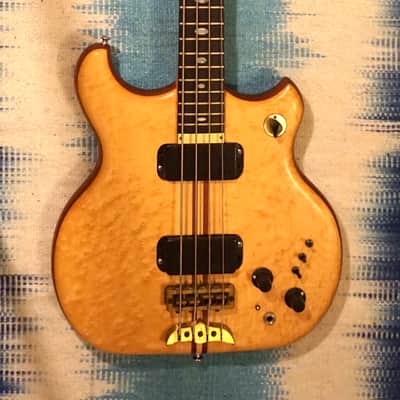 Alembic Distillate Bass 1983 Birdseye Maple and Mahogany Bild 11