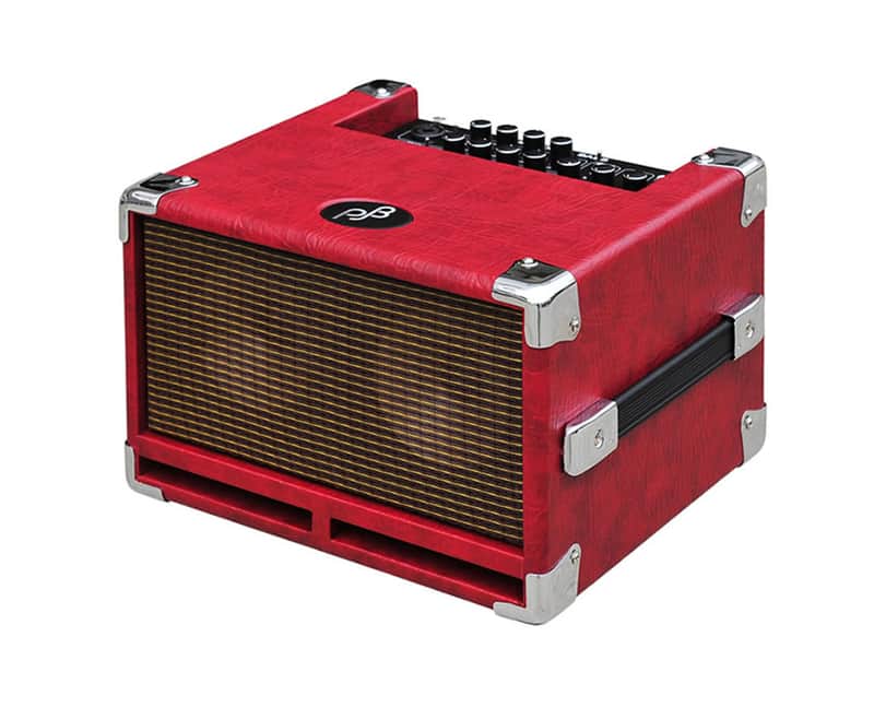 Phil Jones BG-100 Bass Cub 2x5 100w Combo Amp image 1