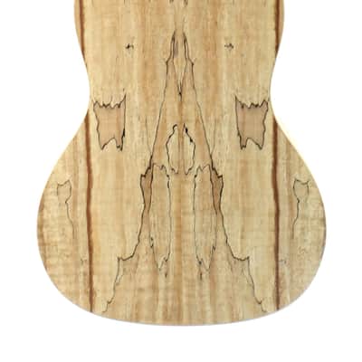 Sun Star Spalted Maple Concert Ukulele image 3