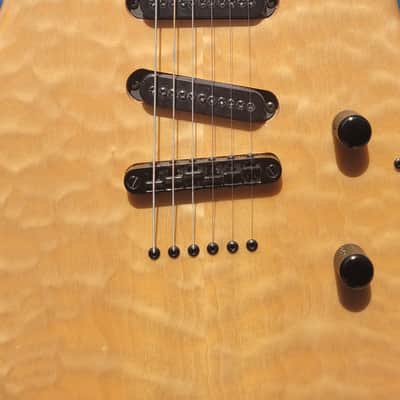 Carvin DC 135 SSS image 4