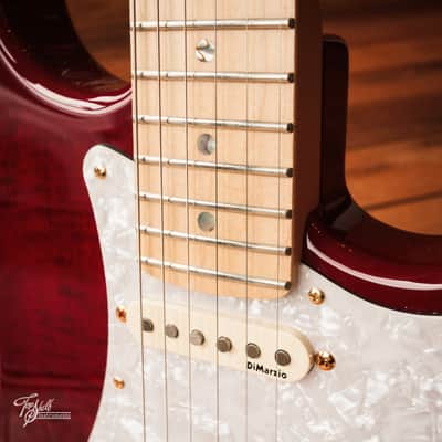 Fender Japan Richie Kotzen Stratocaster STR-RK Transparent Red Burst 2011 image 11