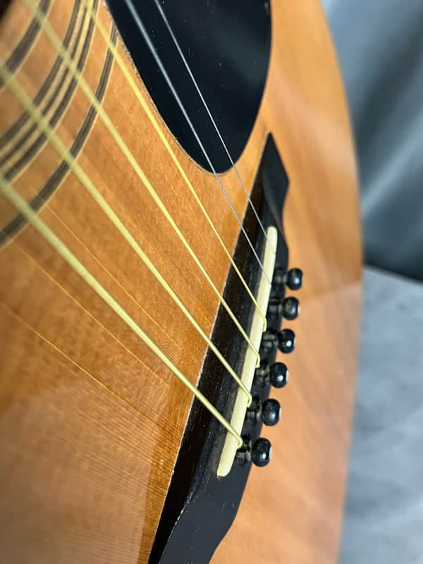 Aria Dreadnought D-50 Ryoji Matsuoka MIJ Early 1970's | Reverb