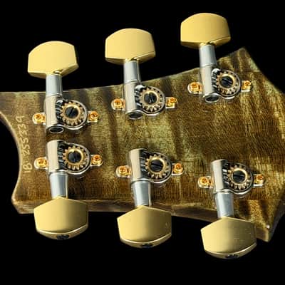 2018 Paul Reed Smith PRS Custom 24 Semi-Hollow Quilted 10 Top Wood Library ~ Trampas Green image 10