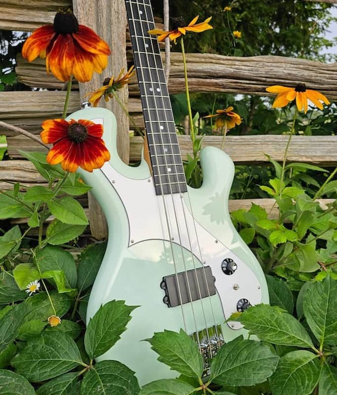 BackLine BadFish No. 23 Mint Ice Cream Bass image 1