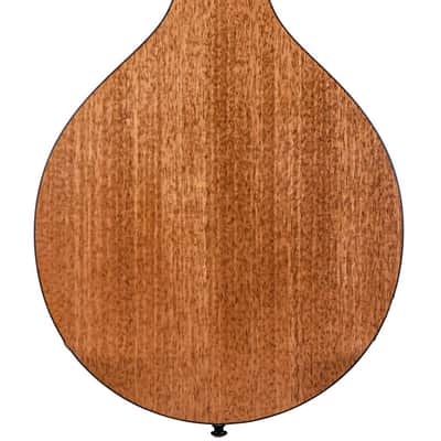 Eastman PCH M104 Natural Mandolin image 8