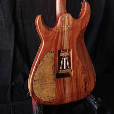 Bhakatt Guitar Double Cut 2026 - Body Polyurethanes neck oil finish image 14